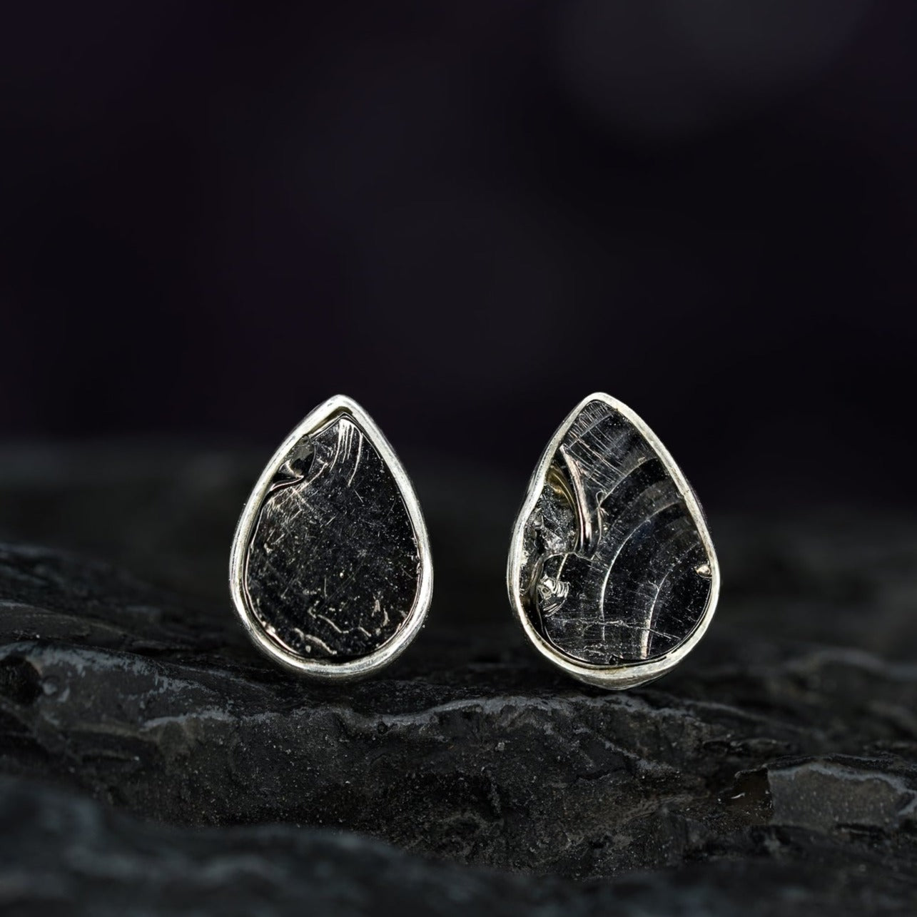 Shungite sales stud earrings