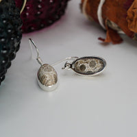 Thumbnail for Fossil Coral Earrings - prettywitchyuk