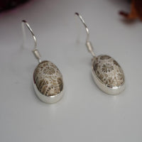 Thumbnail for Fossil Coral Earrings - prettywitchyuk