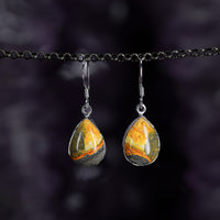 Thumbnail for Bumblebee Jasper Earrings