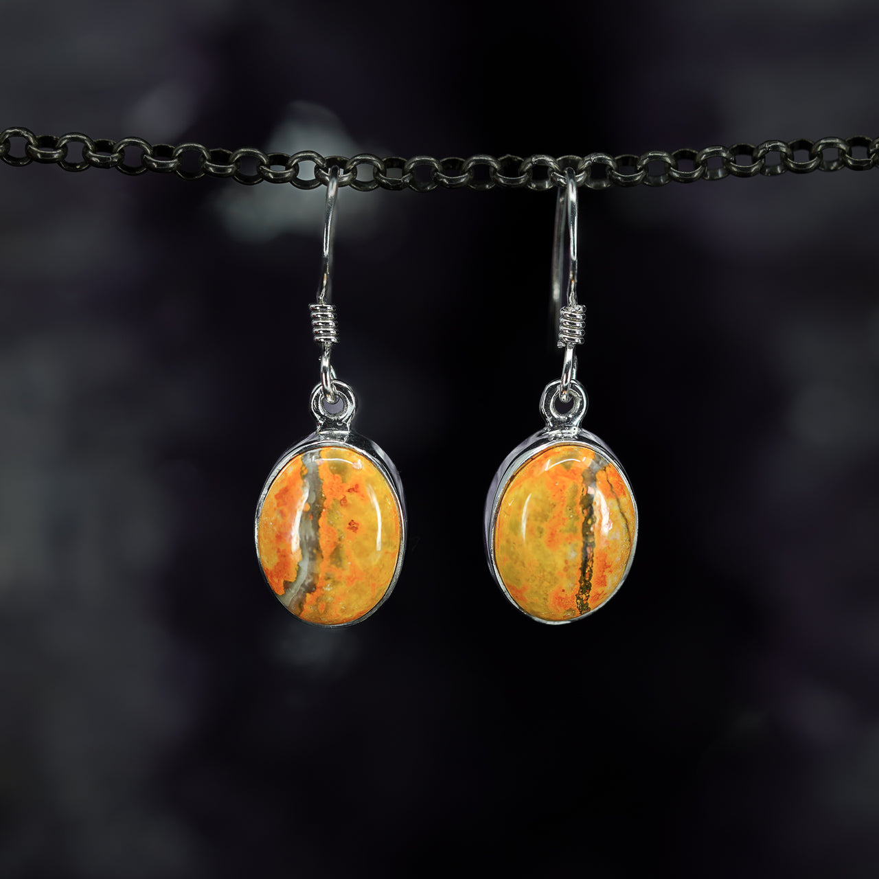 Bumblebee Jasper Earrings