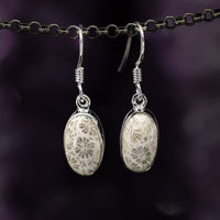 Thumbnail for Fossil Coral Earrings