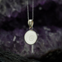 Thumbnail for Shiva Eye Shell Pendant