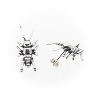 Thumbnail for Locust Stud Earrings